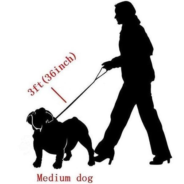 Premium Strong Stainless Steel Dog Leash, 2ft, 3ft, 4ft, Silver Metal Dog Chain, Cuban Curb Cha