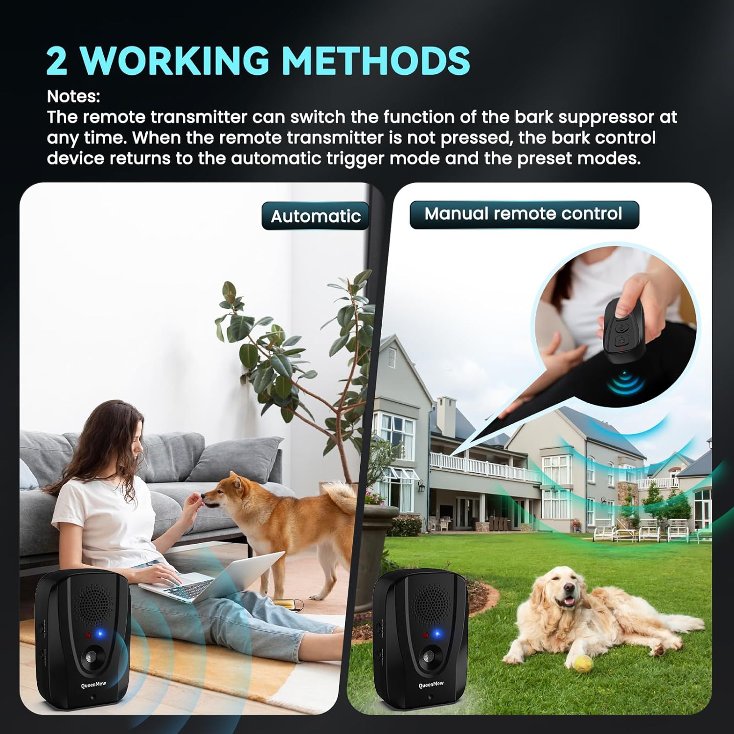 Indoor bark control device best sale