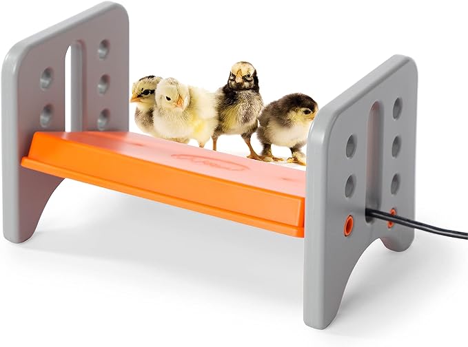 K&H Pet Products Thermo Chicken Brooder, Brooder Heater for Chicks, Chick Brooder Plate, Safe Alternative to Heat Lamp for Chickens - Gray/Orange Small 8 X 13.5 X 8 Inches, Durable,Unique