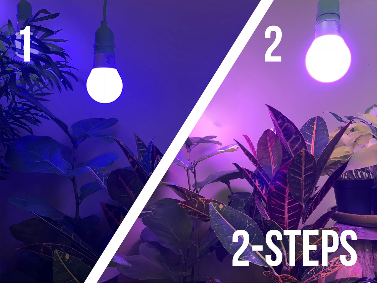 Miracle LED Plant Life Cycle 2-Socket Synchronized Grow Light Kit with 2 Blue Spectrum and 2 Red & Blue Spectrum Multi-Plant Bulbs with Sproutmatic Timer Controls (3 Pack)