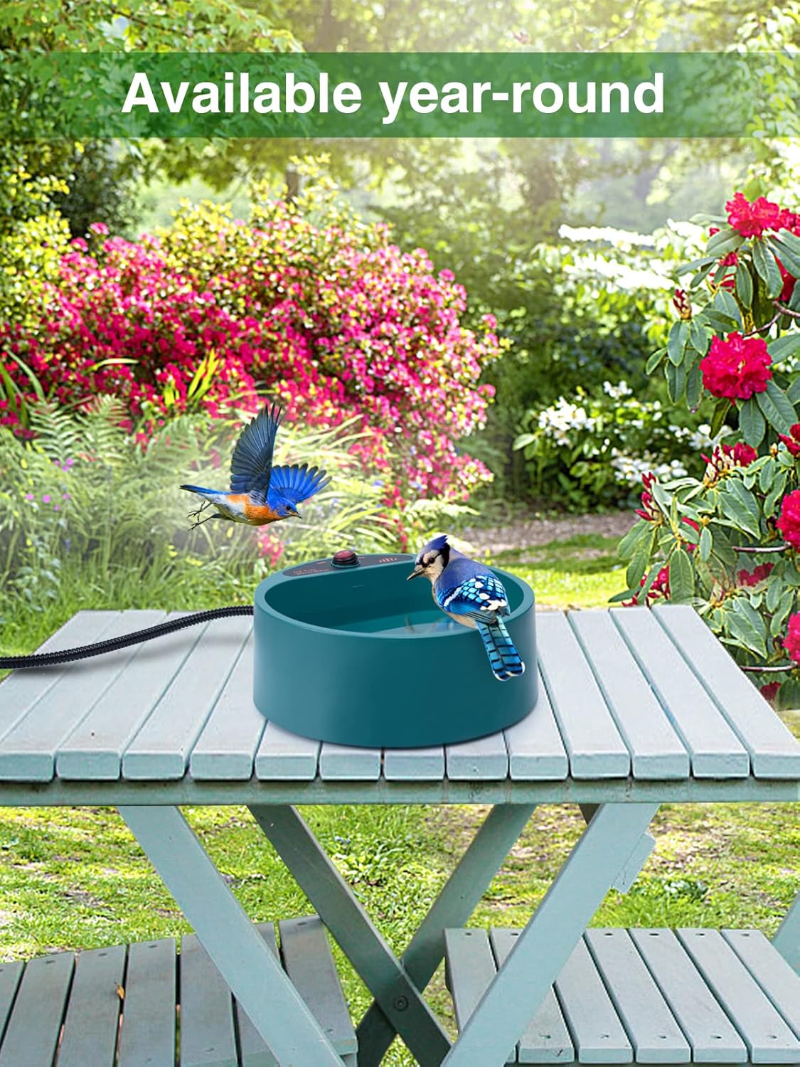 MEWTOGO Deeper Heated Bird Bath for Outdoors for Winter, 77 Oz Thermostatically Controlled Bird Bath Heater with Chew-Proof Cord for Garden Deck Yard Animals Wild Bird Pet Dogs Drink Water