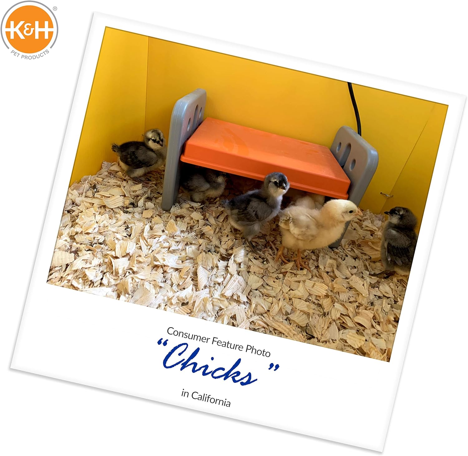 K&H Pet Products Thermo Chicken Brooder, Brooder Heater for Chicks, Chick Brooder Plate, Safe Alternative to Heat Lamp for Chickens - Gray/Orange Small 8 X 13.5 X 8 Inches, Durable,Unique