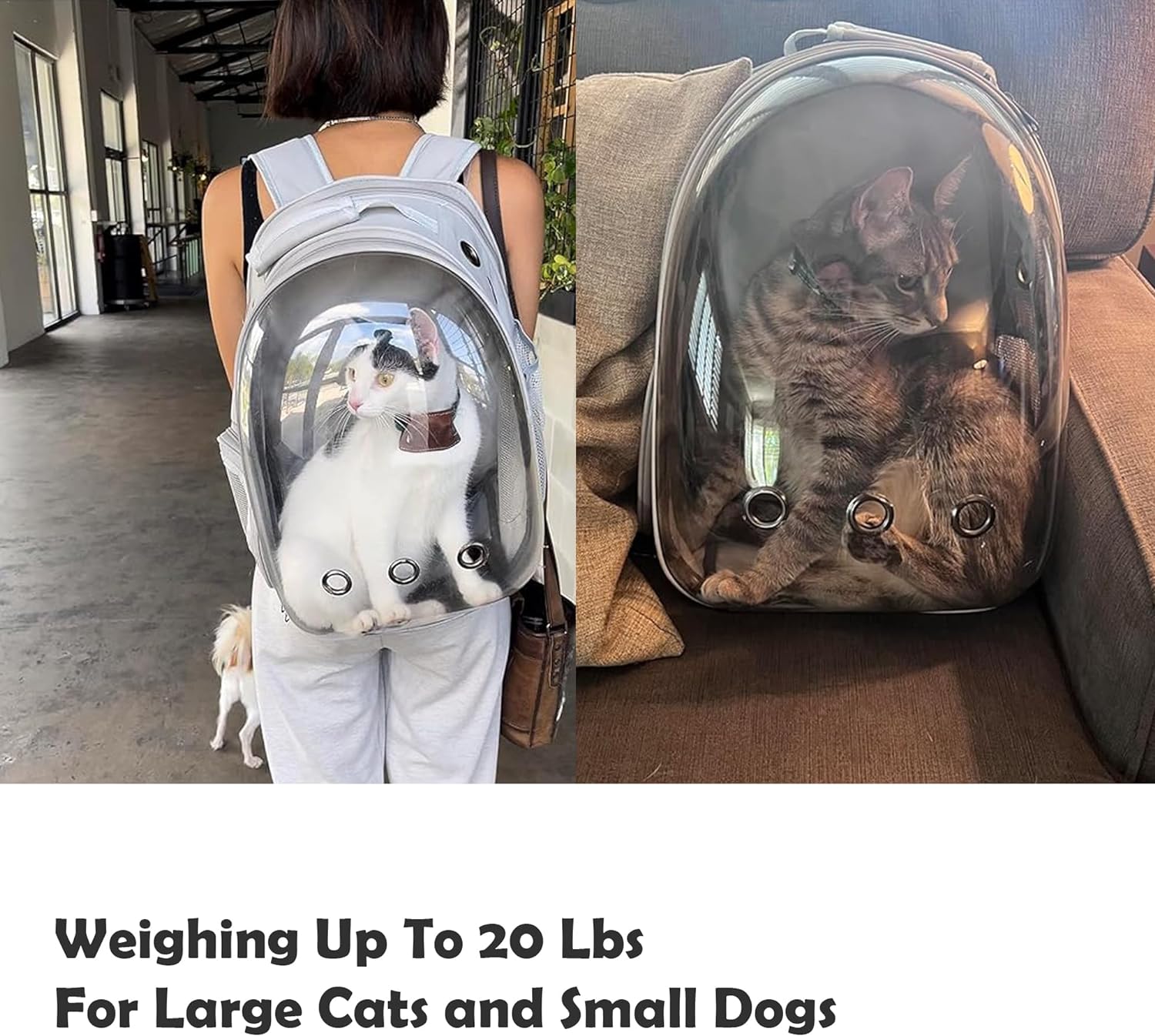 PROKEI Cat Backpack Carrier,Expandable Pet Bubble Backpack Airline Approved, Pet Travel Carrying Bag for Small Medium Cats and Puppy with Hiking Walking Outdoor Use