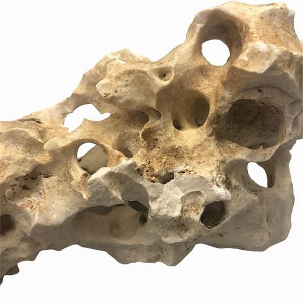 PEPPERLONELY Ocean Reef Rock Great for Marine Tanks,Hermit Crabs,Etc. Has Natural Holes in (5"~