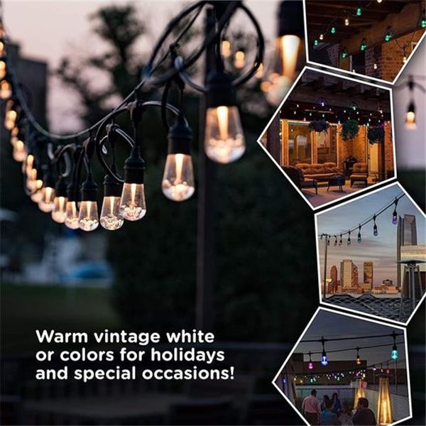 48FT Color Changing Outdoor String Lights, RGB Cafe LED String Light with 15 E26 Shatterproof E